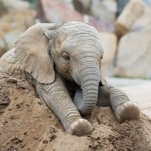 Meet your Posher, Wendy